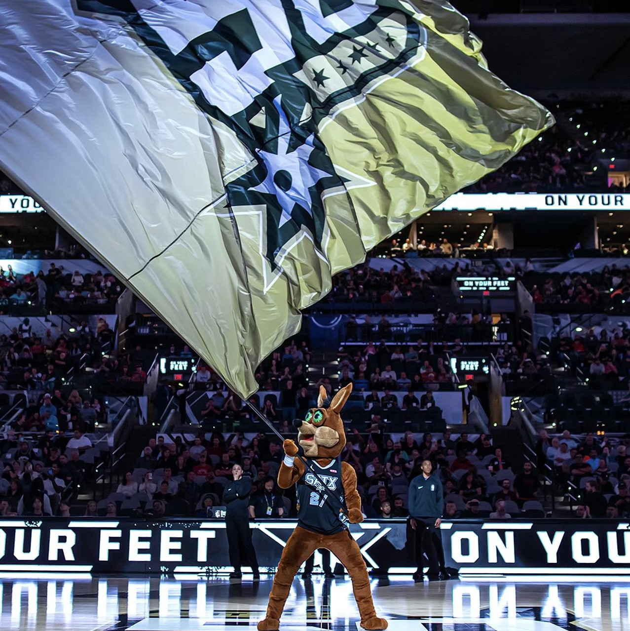 提供了重要 提供了重要