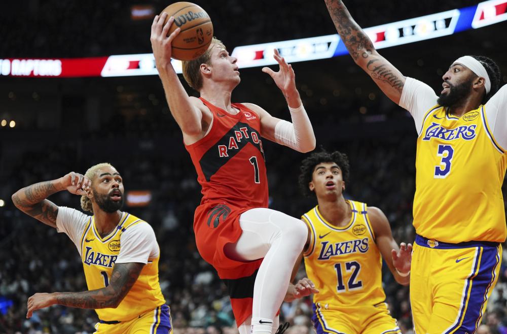 凡韧性与专 凡韧性与专